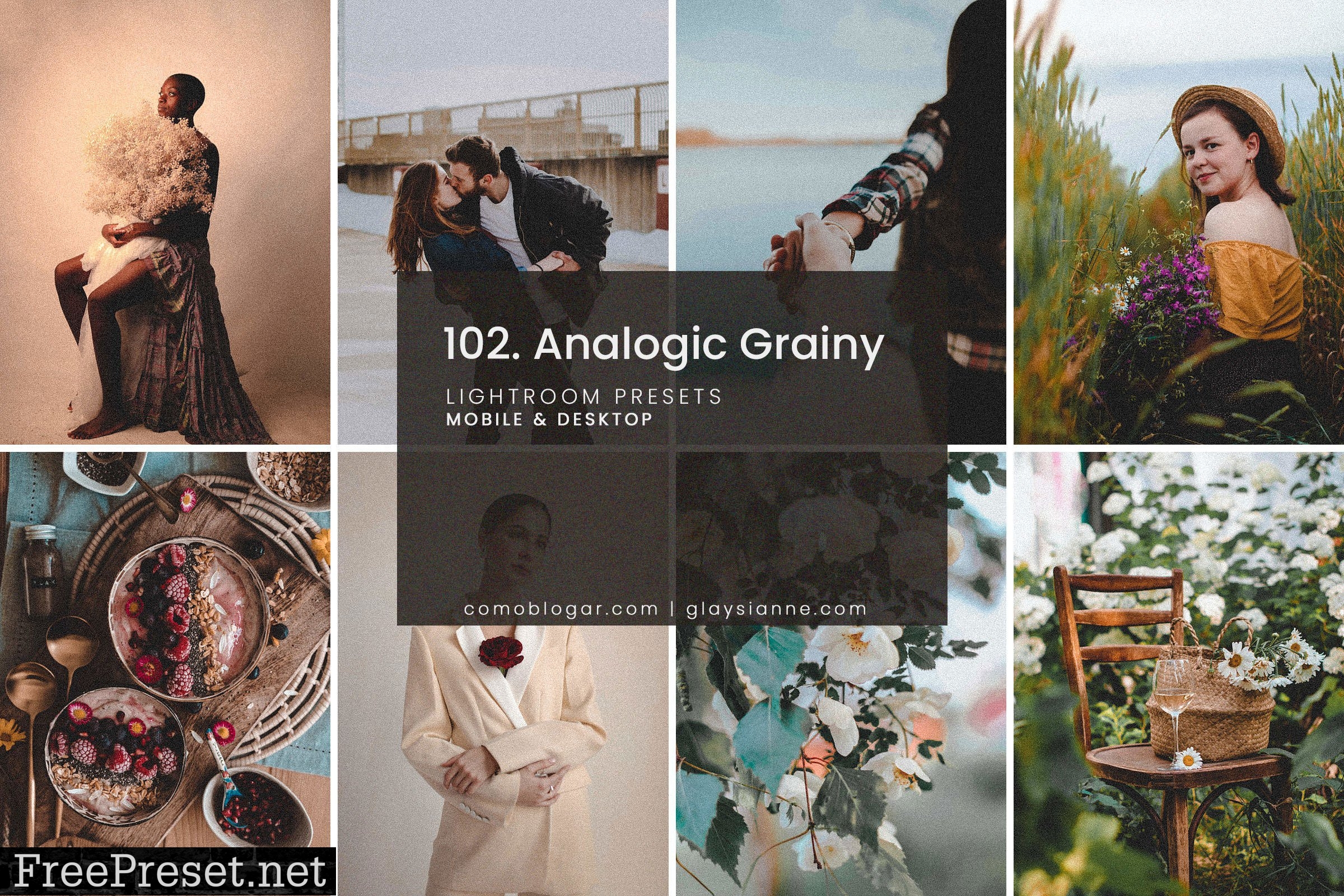 102. Analogic Grainy Presets 5158850