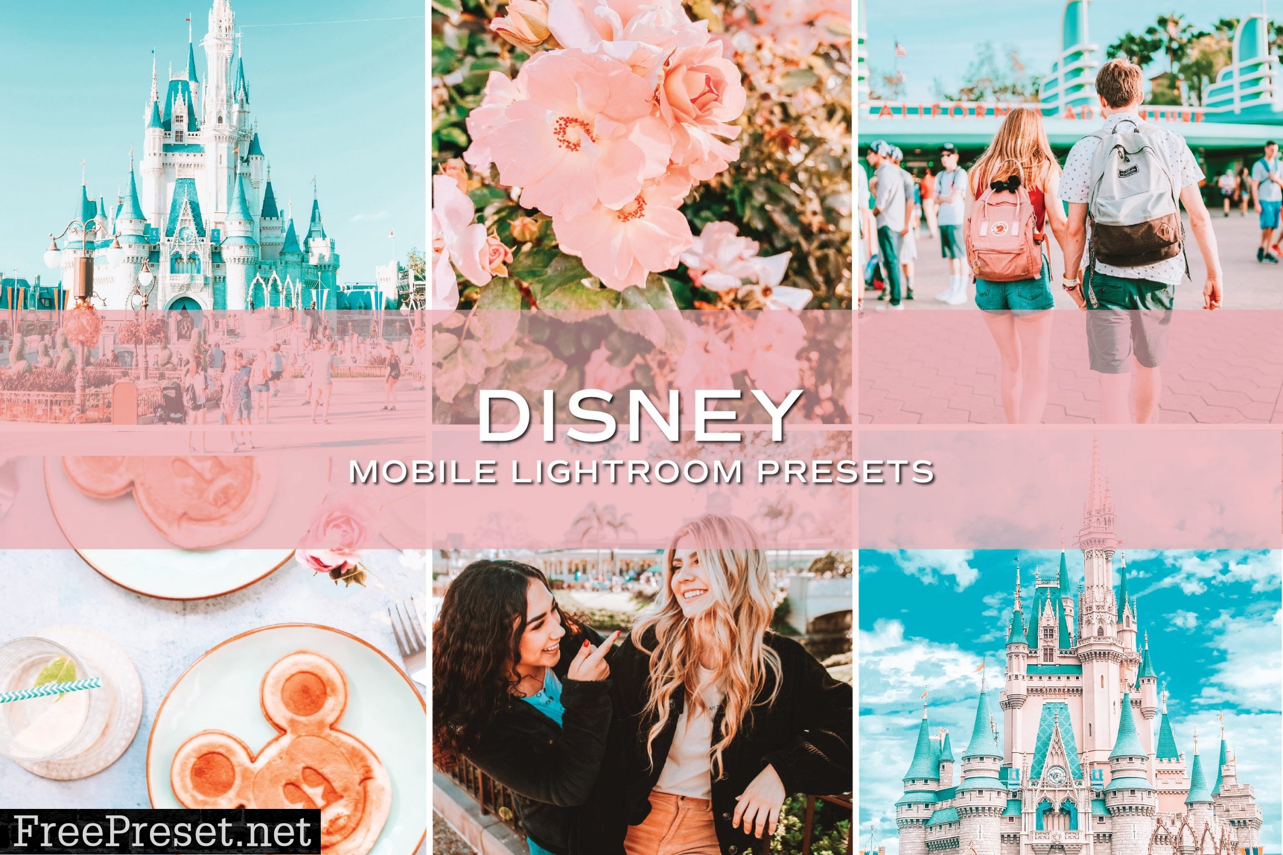 5 Disney Lifestyle Presets 5804393