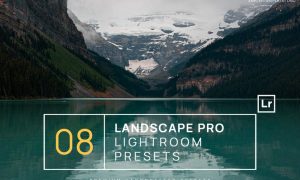 8 Landscape Pro Lightroom Presets + Mobile