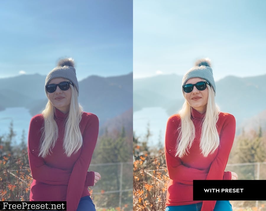 ARTA Everywhere Presets For Mobile and Desktop