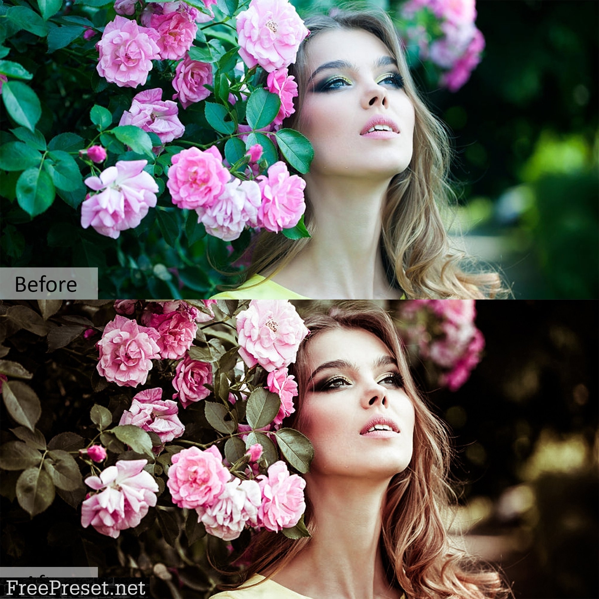 Creative Color Pro PRESETS 5734332