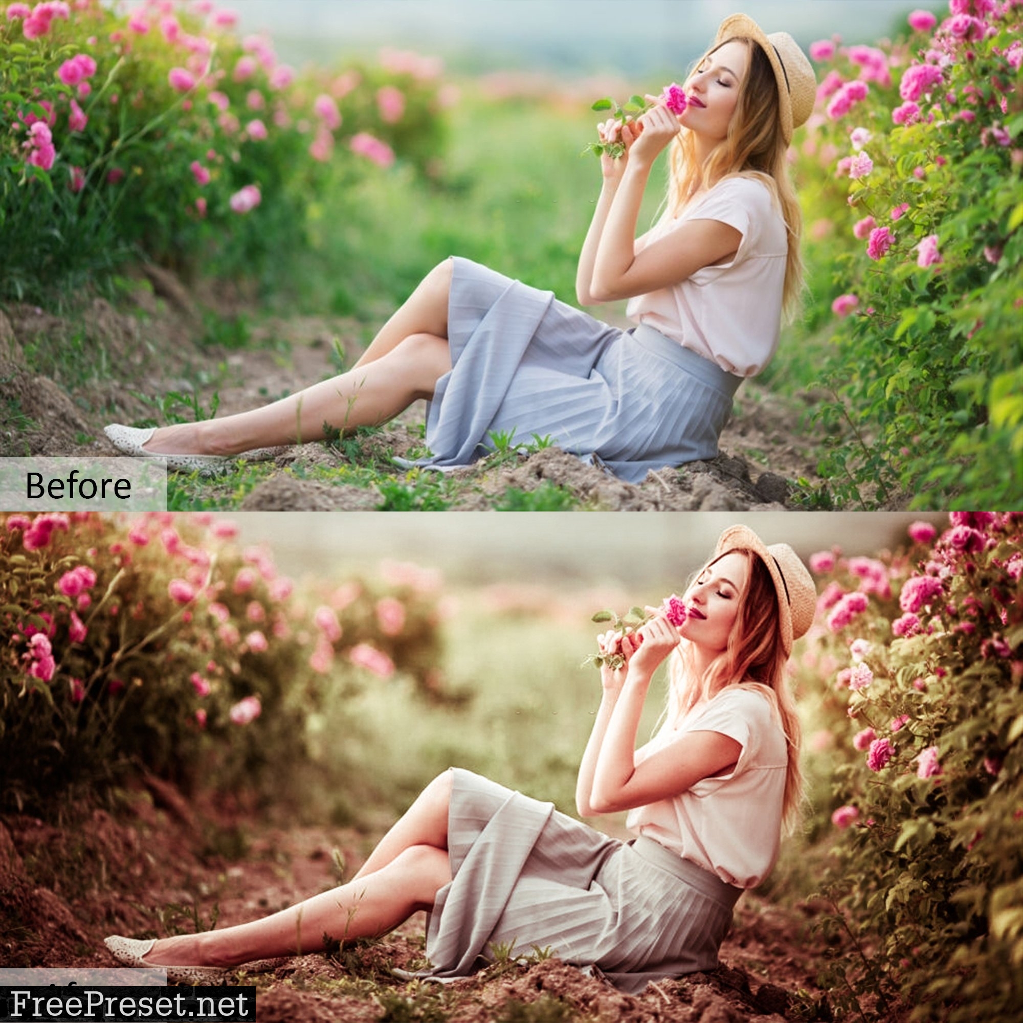 Creative Color Pro PRESETS 5734332