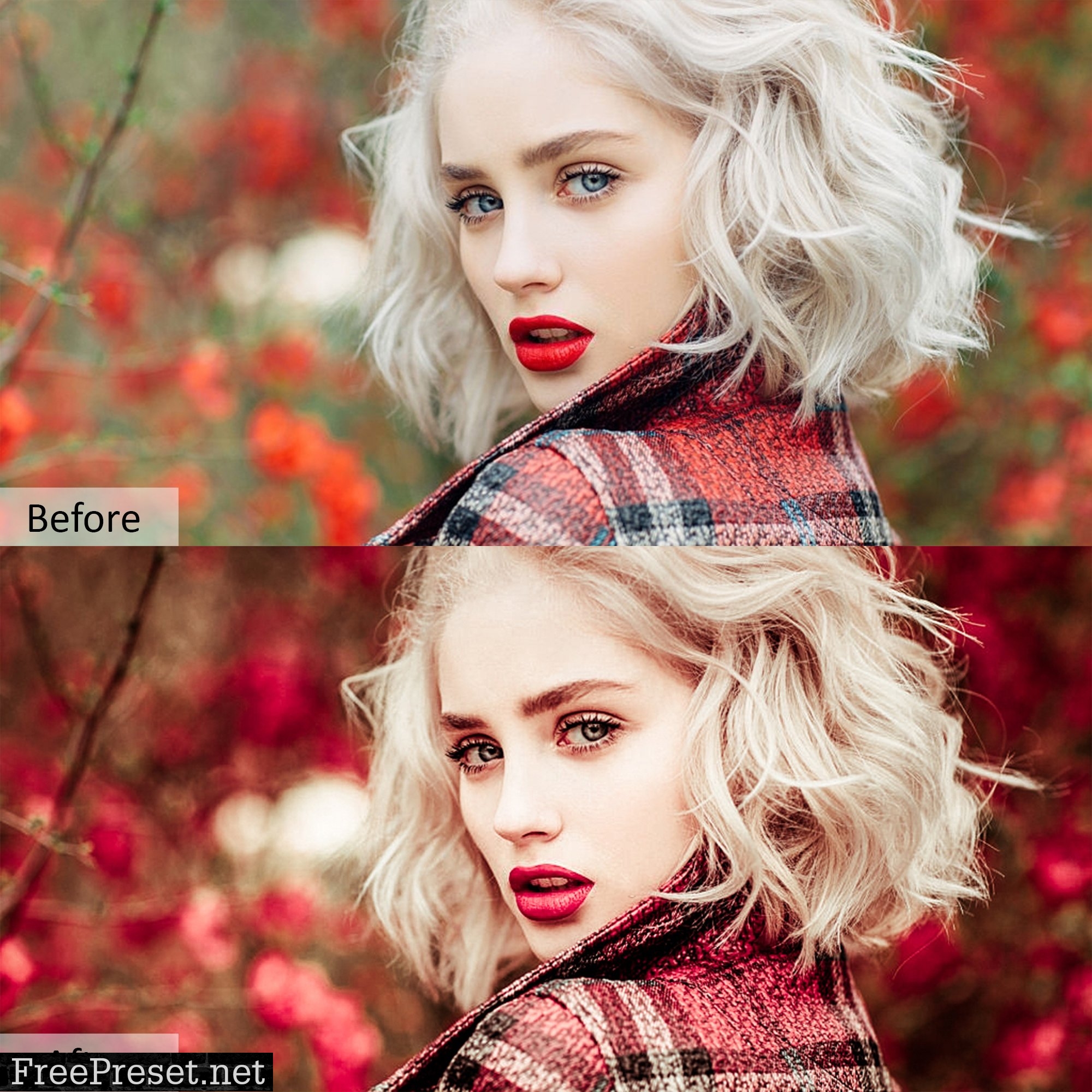 Creative Color Pro PRESETS 5734332