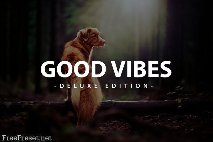 Good Vibes Deluxe Edition
