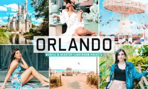 Orlando Mobile & Desktop Lightroom Presets