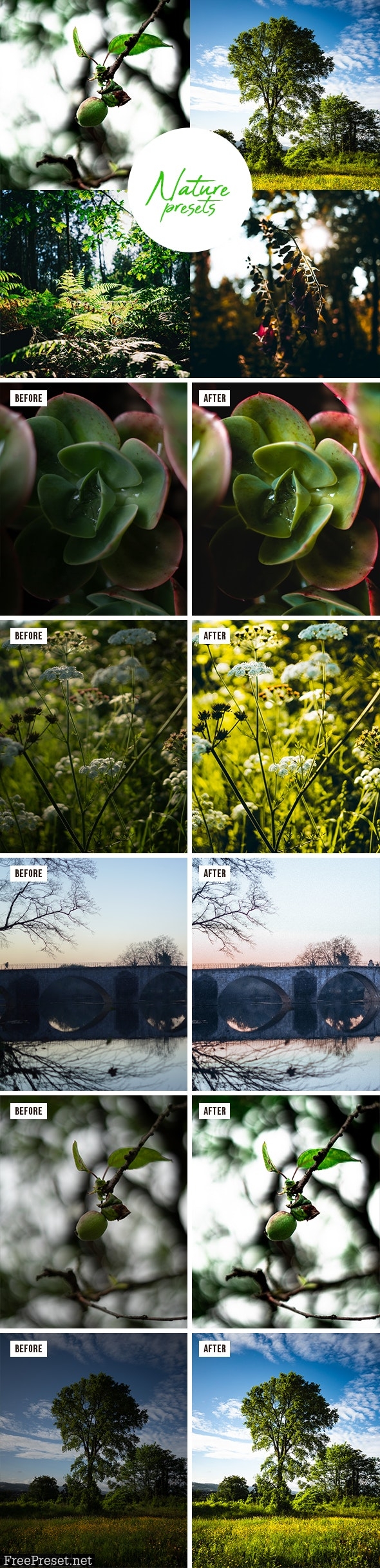 Professional Nature Lightroom Preset (Mobile & Desktop) 30177890