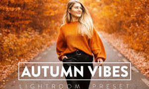 10 Autumn Vibes Lightroom Presets