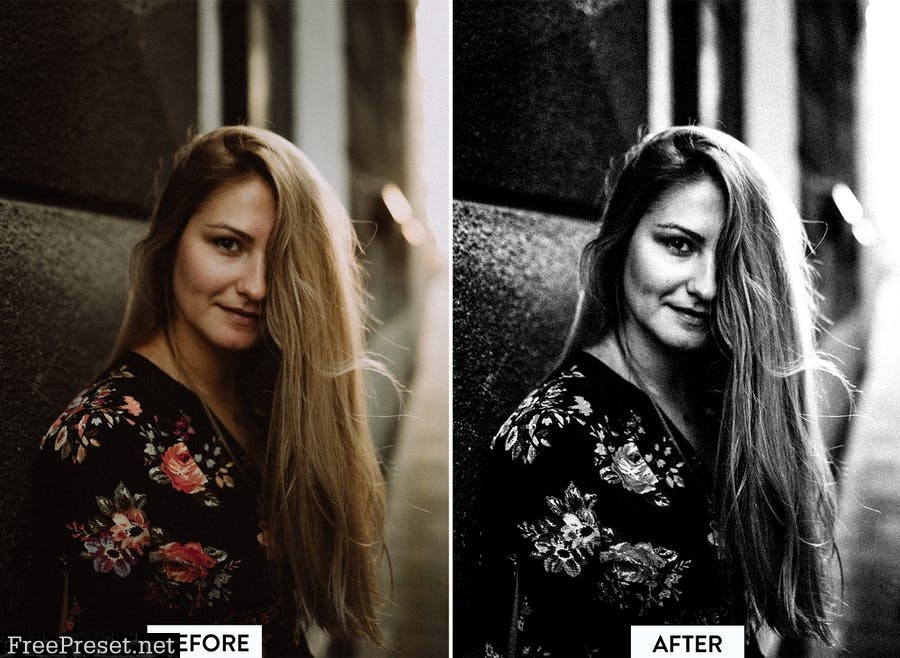 10 Black and White Film Lightroom Preset