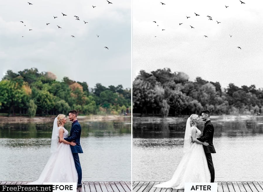 10 Black and White Wedding Lightroom Preset