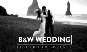 10 Black and White Wedding Lightroom Preset