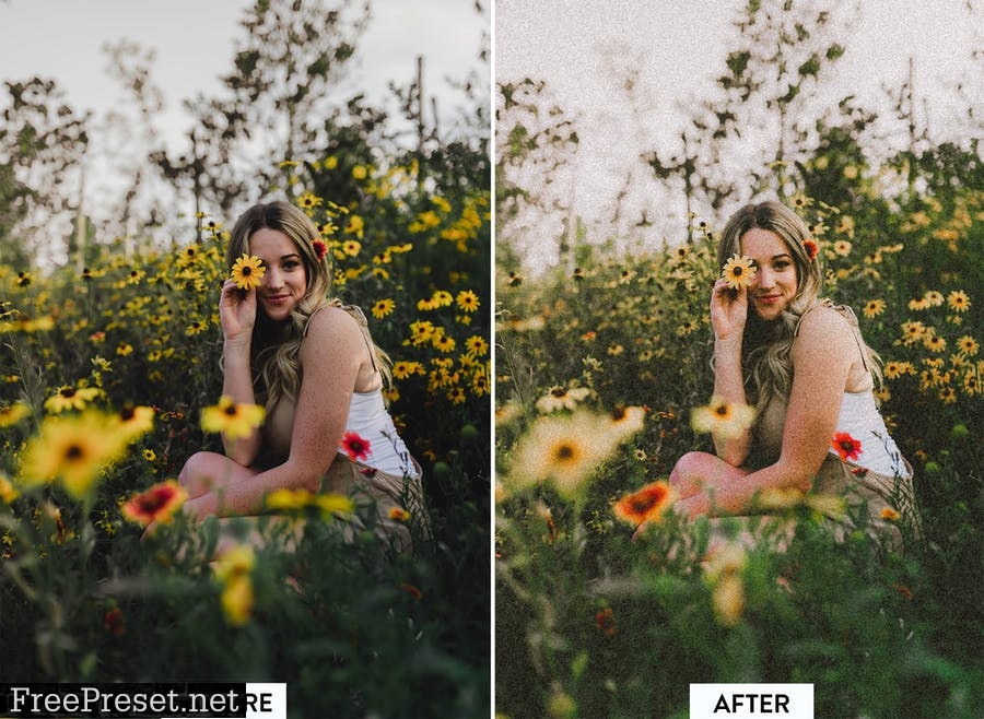 10 Indie Film Lightroom Presets