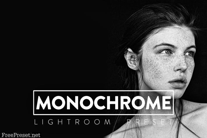 10 Monochrome Lightroom Presets