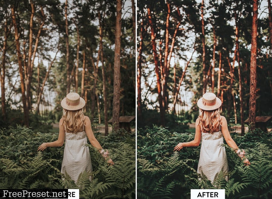 10 Moody Green Lightroom Presets