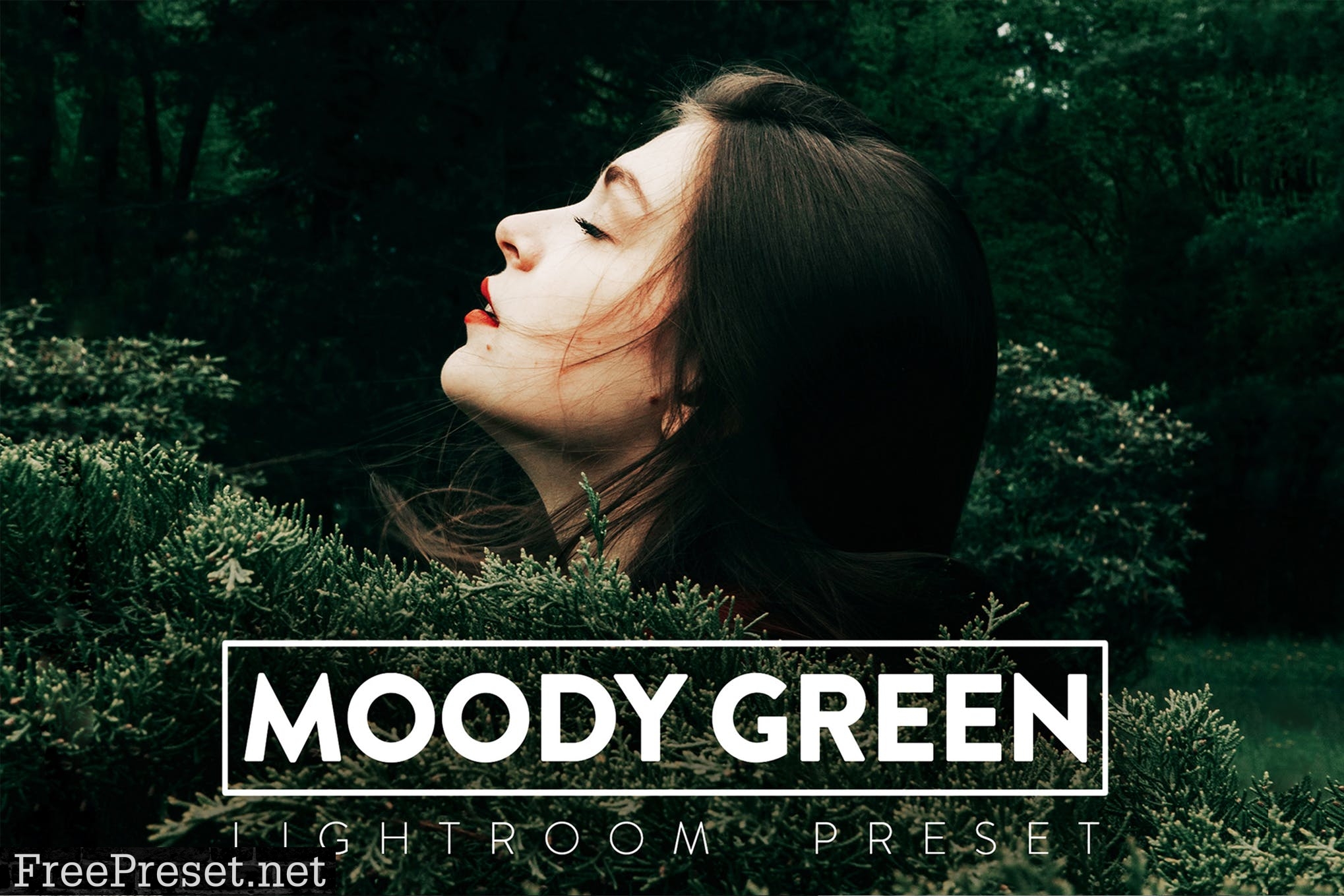 moody green living room