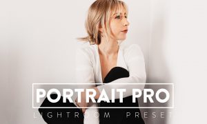 10 Portrait Pro Lightroom Presets 5937259