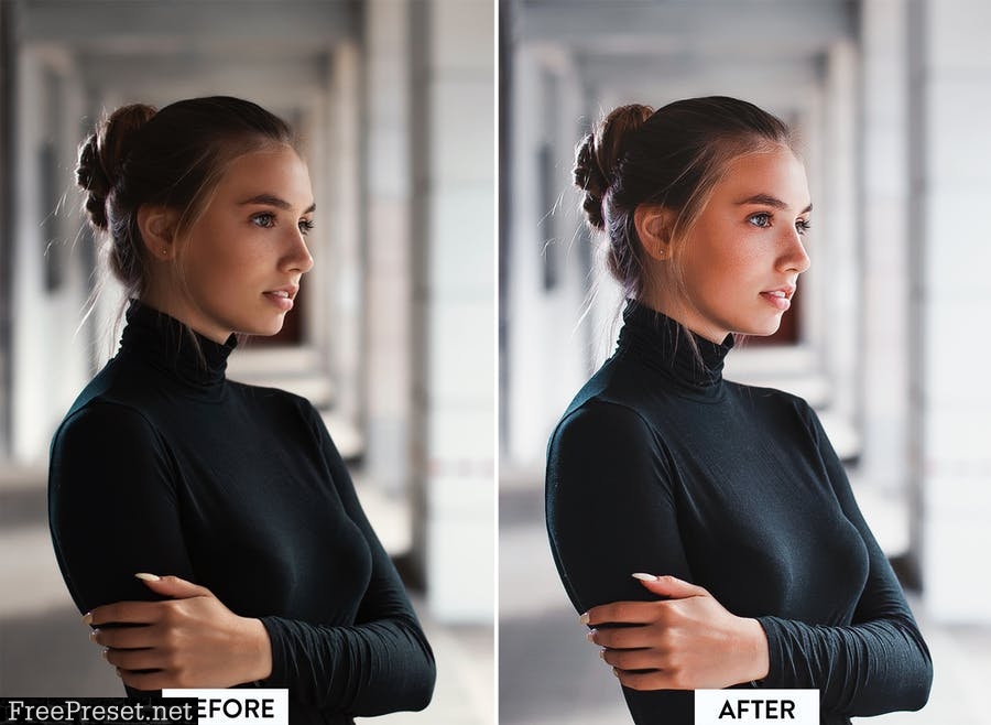 10 Portrait Pro Lightroom Presets SWHG2HJ