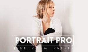 10 Portrait Pro Lightroom Presets SWHG2HJ