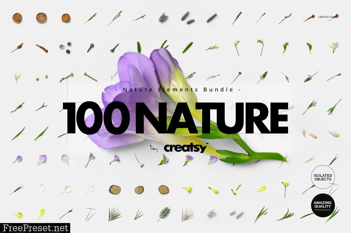 100 Elements Nature Bundle 2520224