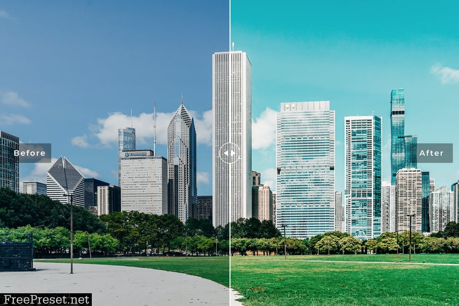 13 Chicago Mobile & Desktop Lightroom Presets