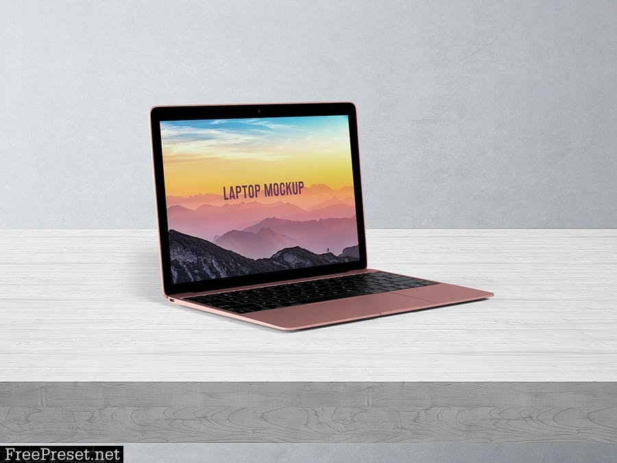 14x9 Laptop Screen Mock-Up - Rose Gold