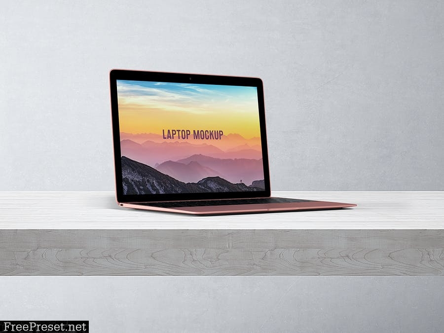 14x9 Laptop Screen Mock-Up - Rose Gold