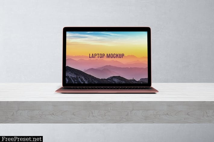 14x9 Laptop Screen Mock-Up - Rose Gold