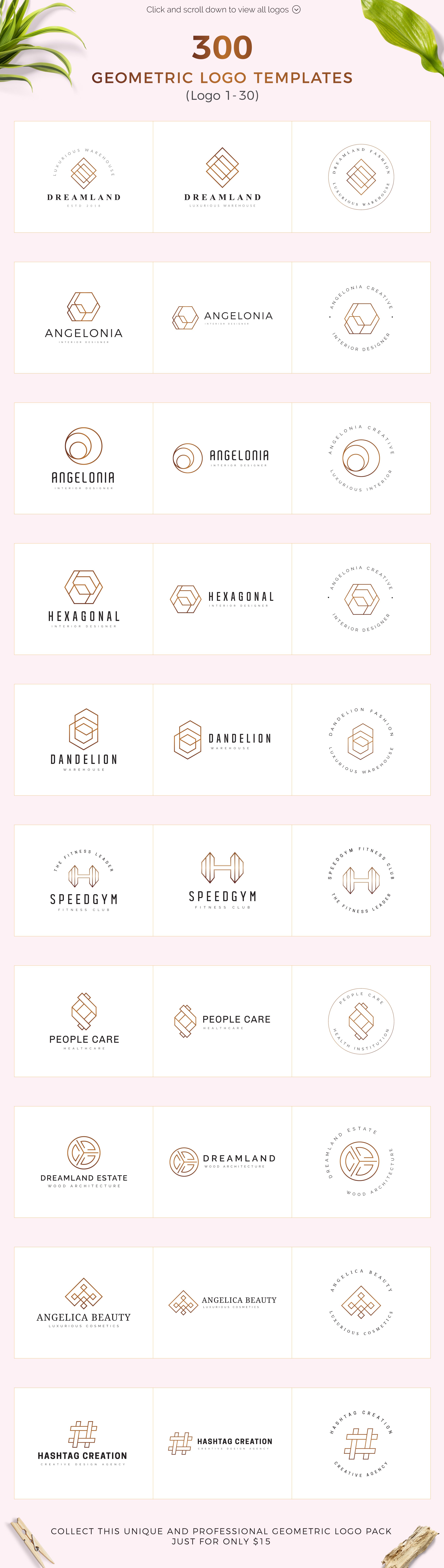 300 Geometric Premade Logo Bundle 3155393