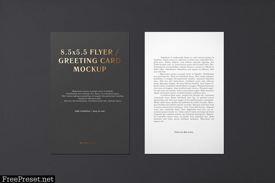 5.5x8.5 Flyer / Postcard / Greeting Card Mockup