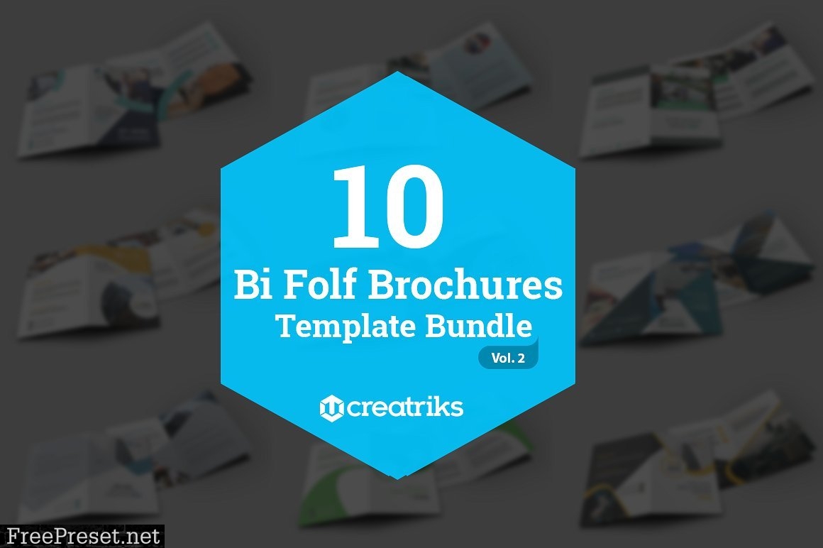 50 Bi-Fold Brochures Bundle 4268003