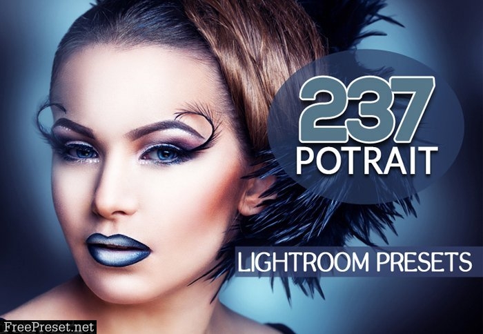 5,900  Premium Lightroom Presets 43303