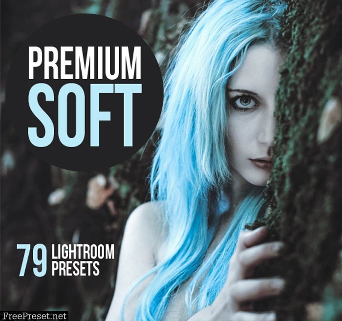 5,900  Premium Lightroom Presets 43303