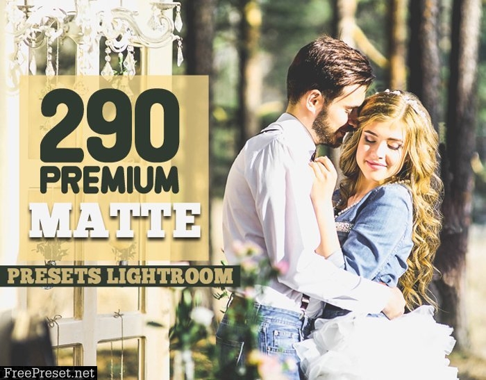 5,900  Premium Lightroom Presets 43303