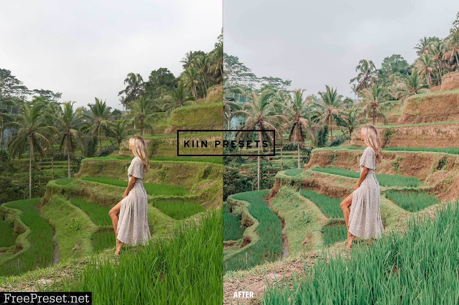 6 INFLUENCER LIGHTROOM PRESETS 5879570