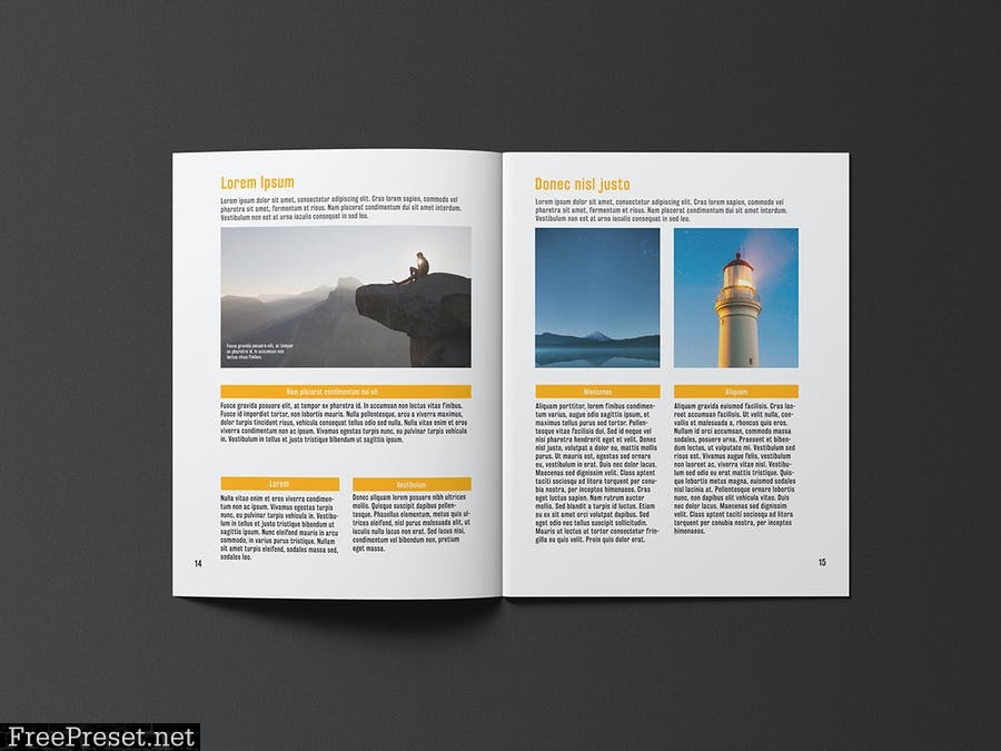 8.5x11 Brochure / Catalogue Mock-up