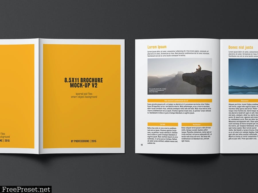 8.5x11 Brochure / Catalogue Mock-up