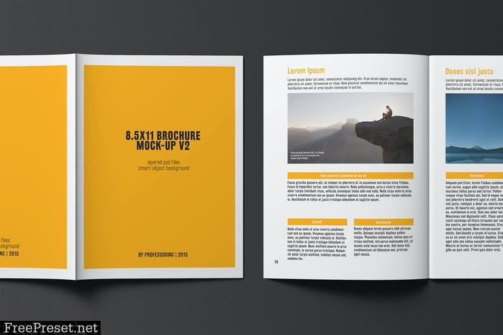 8.5x11 Brochure / Catalogue Mock-up