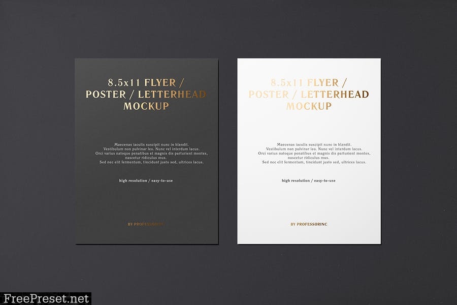 8.5x11 Flyer / Letterhead Mockup