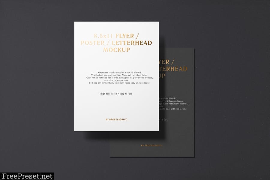 8.5x11 Flyer / Letterhead Mockup