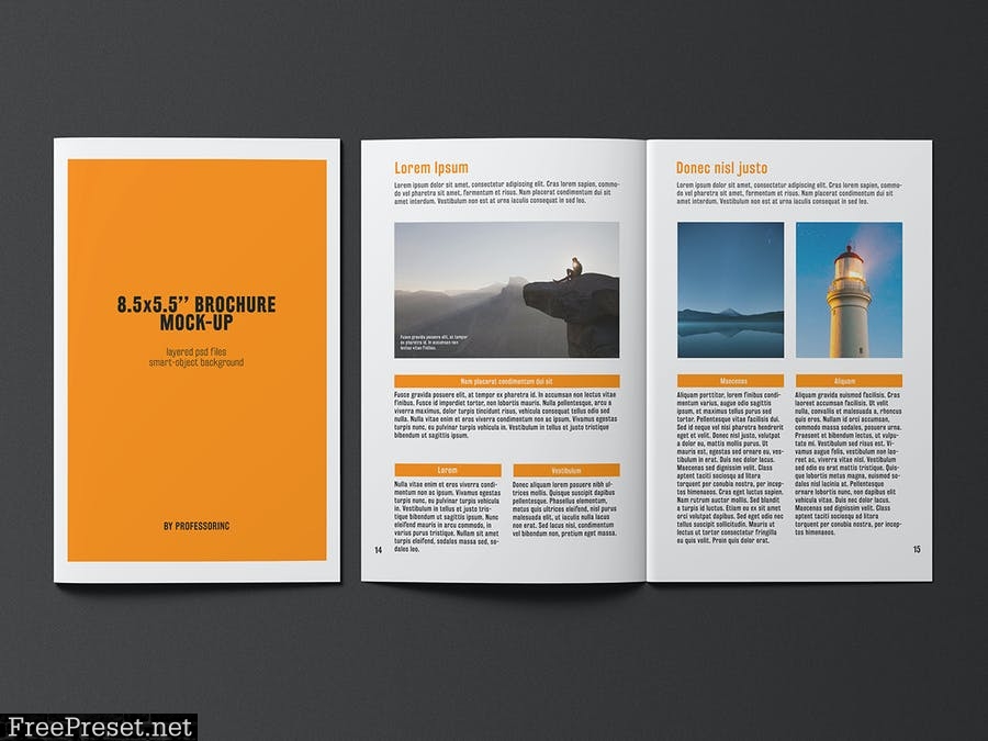 8.5x5.5 Brochure / Catalogue Mock-Up