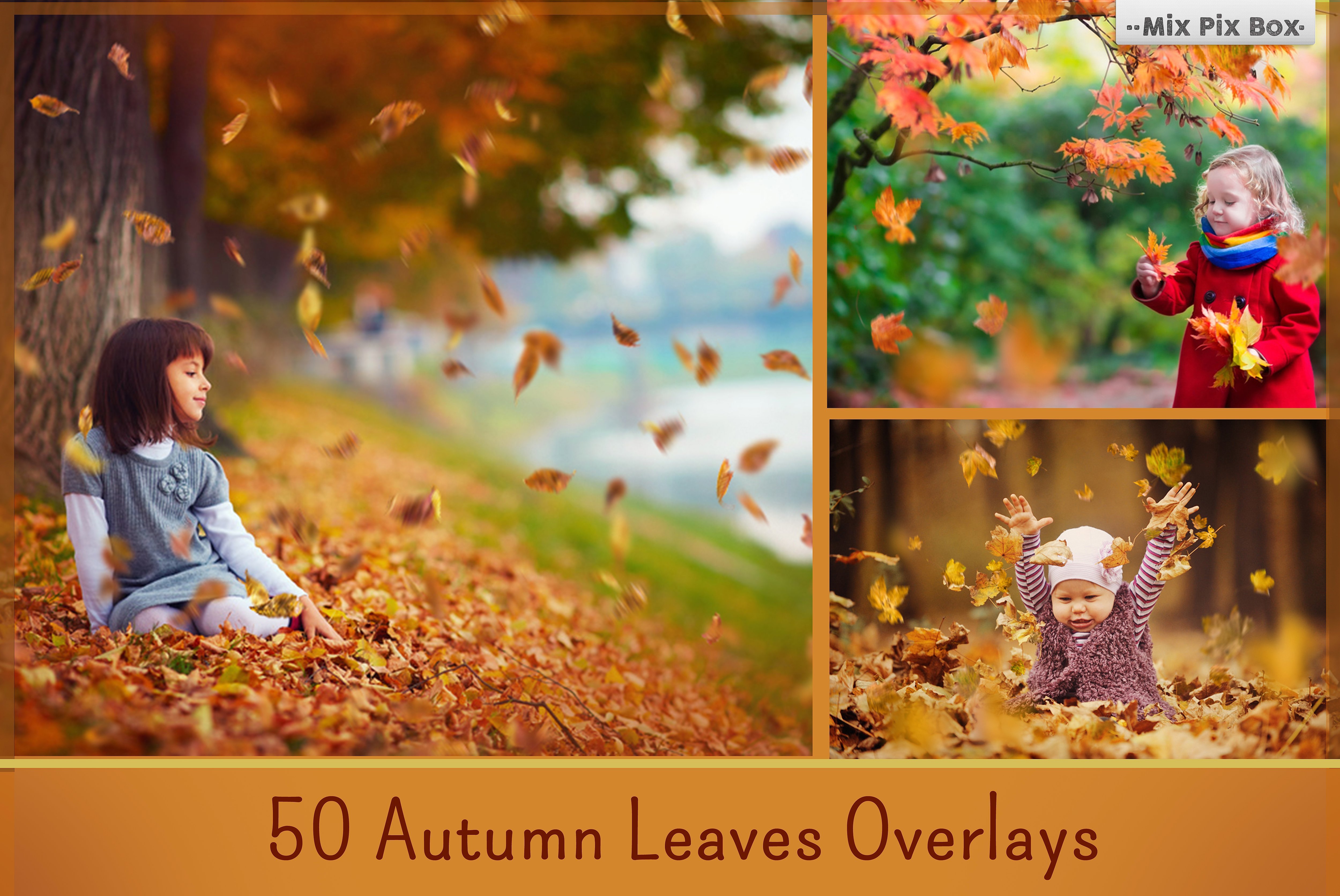 900+ Photo Overlays Bundle 767541