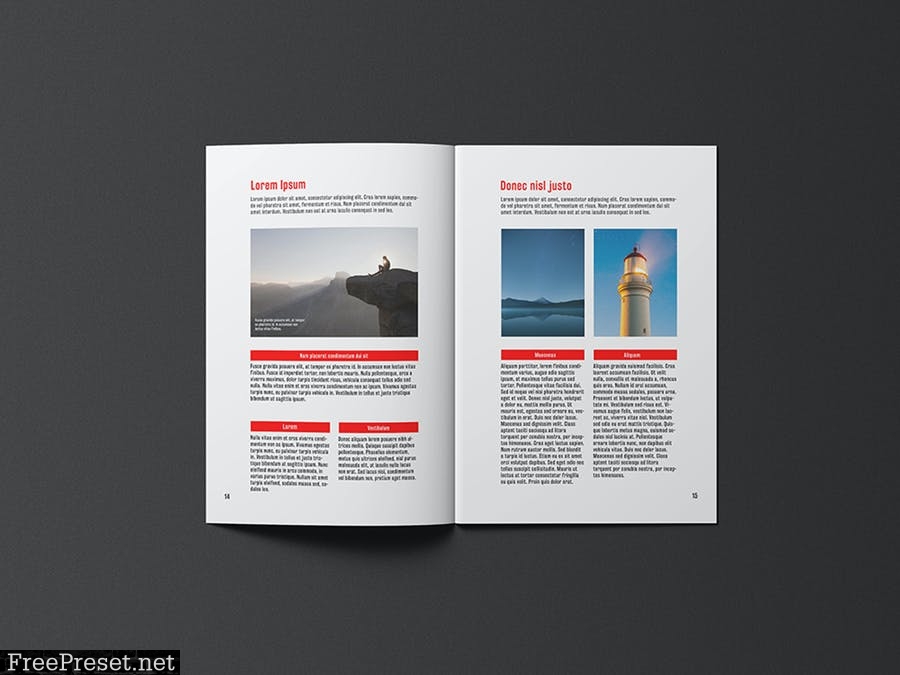 A5 Brochure / Catalogue Mock-Up