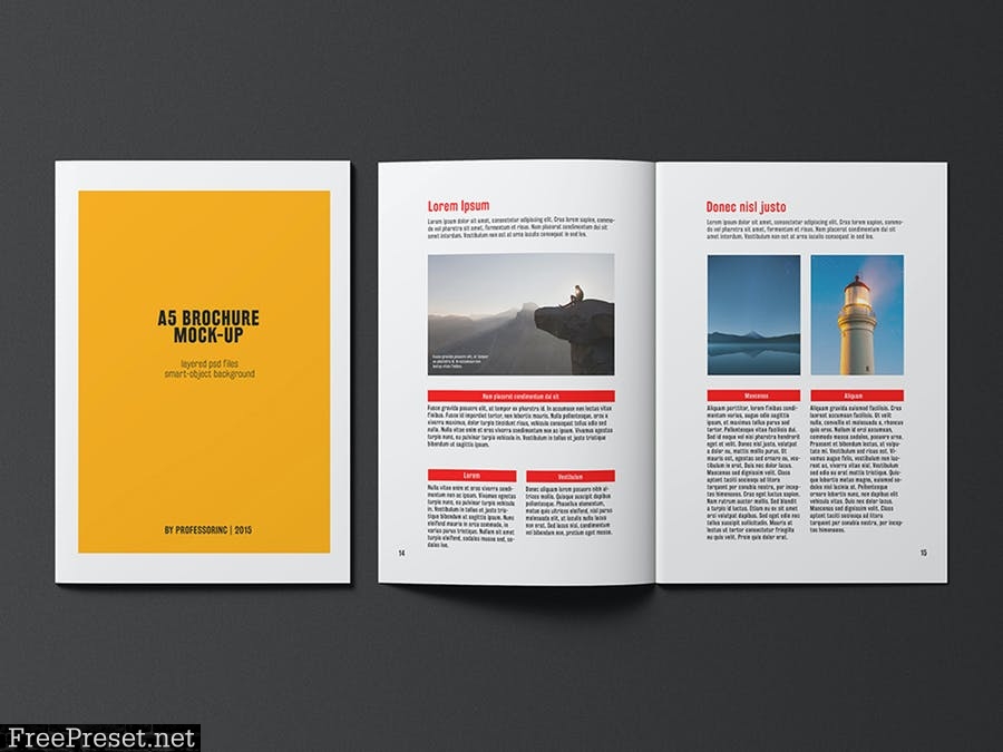 A5 Brochure / Catalogue Mock-Up