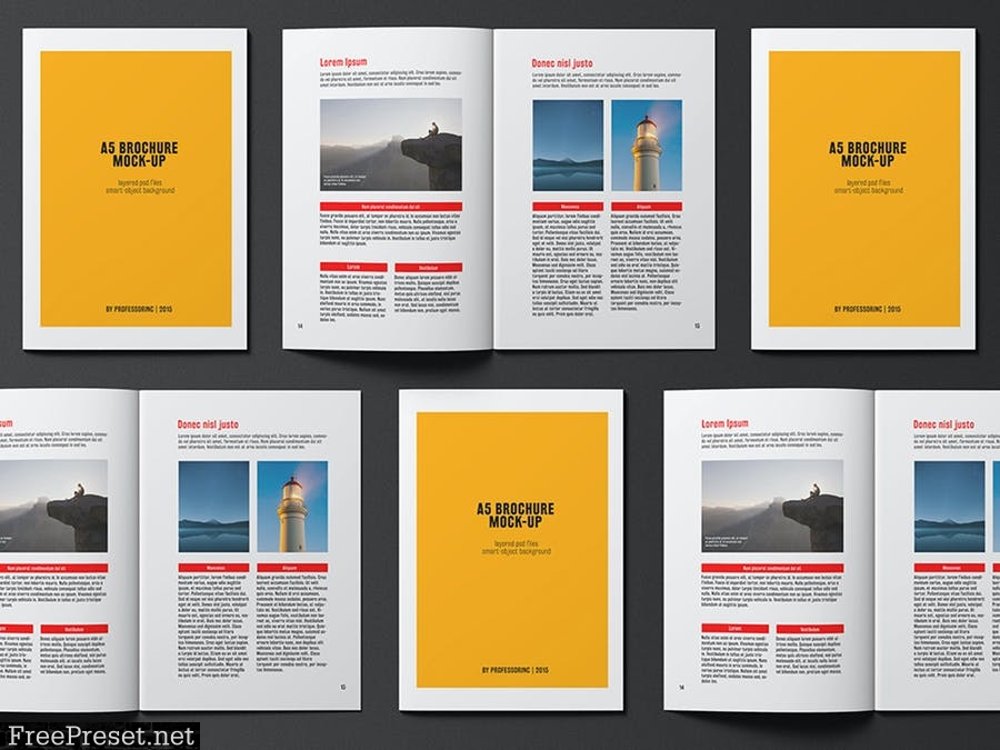 A5 Brochure / Catalogue Mock-Up