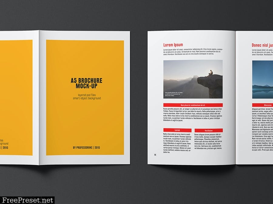 A5 Brochure / Catalogue Mock-Up