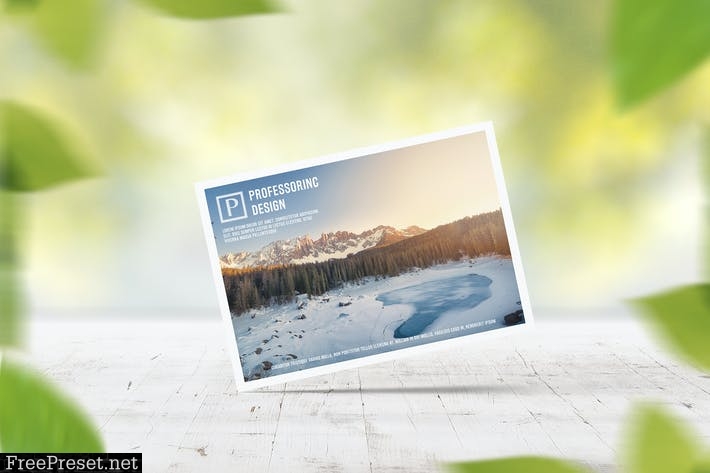 A6 Postcard / Greeting Card Mock-Up