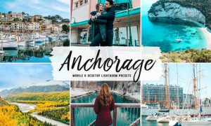 Anchorage Mobile & Desktop Lightroom Presets