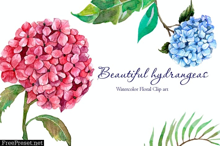 Beautiful Watercolor Hydrangeas