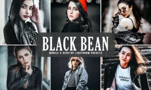 Black Bean Mobile & Desktop Lightroom Presets