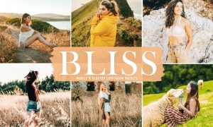 Bliss Mobile & Desktop Lightroom Presets