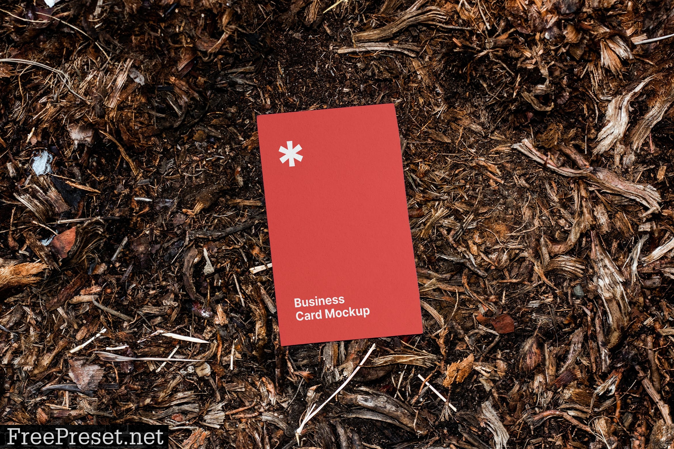 Business Card Mockup on The Ground VZKNXMQ